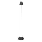 Nevis Rechargeable Floor Lamp, Black Finish - Bees Lighting