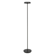 Tepa Medium Rechargeable Floor Lamp, 120-240V, Black Finish - Bees Lighting
