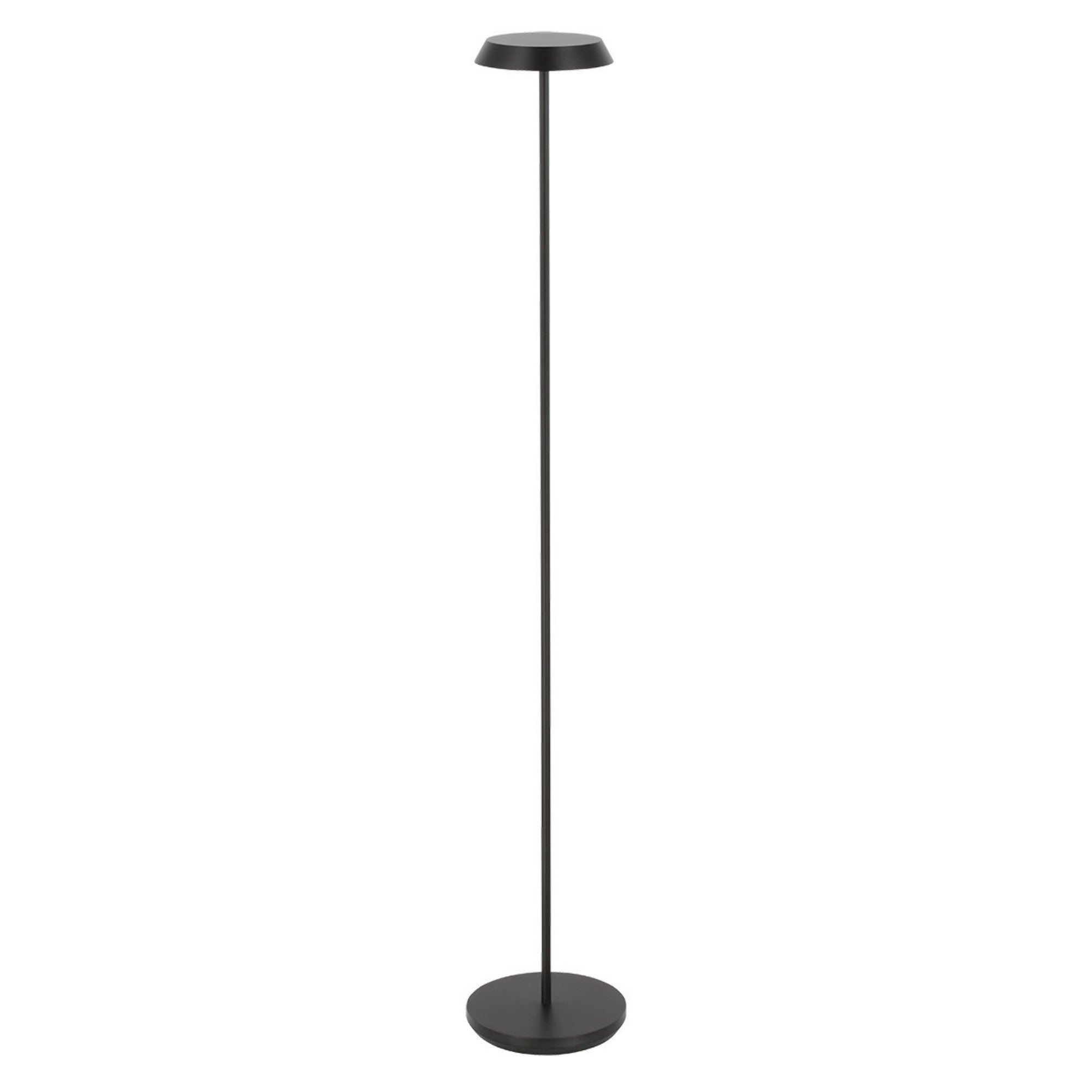 Tepa Medium Rechargeable Floor Lamp, 120-240V, Black Finish - Bees Lighting