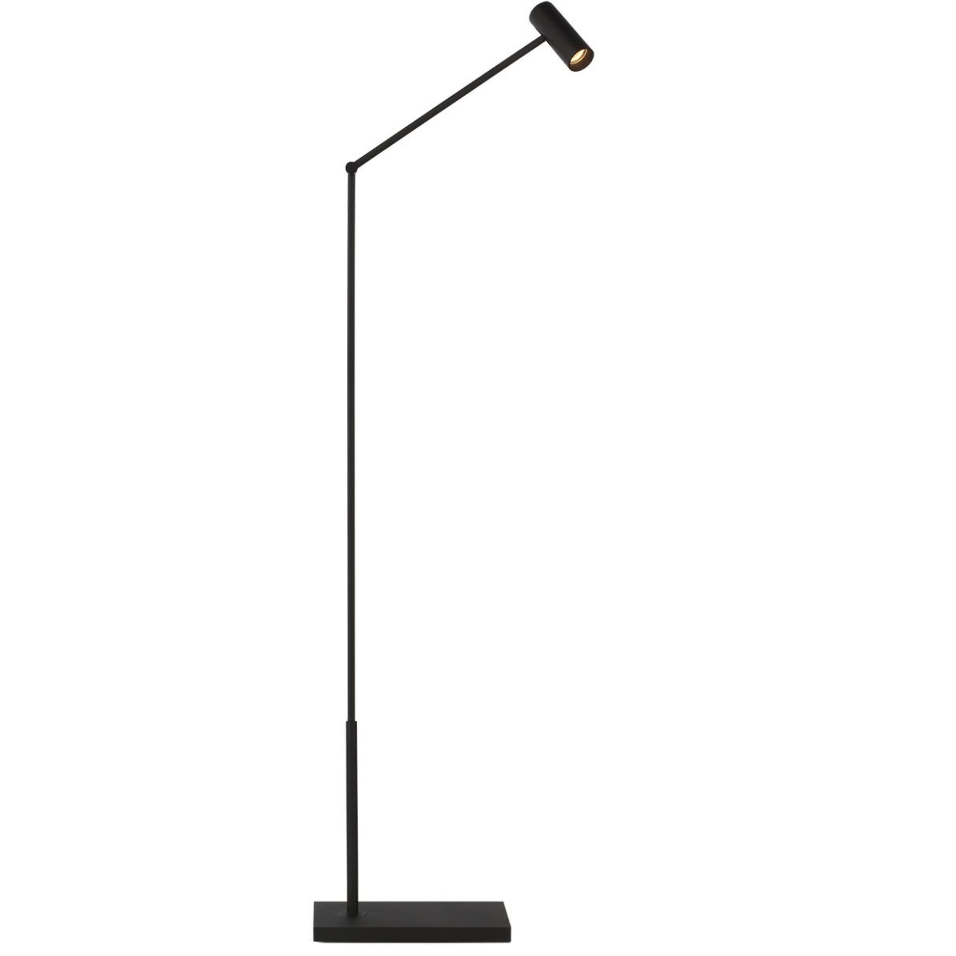 Ponte LED Small Floor Lamp, 120-240V, Nightshade Black Finish - Bees Lighting