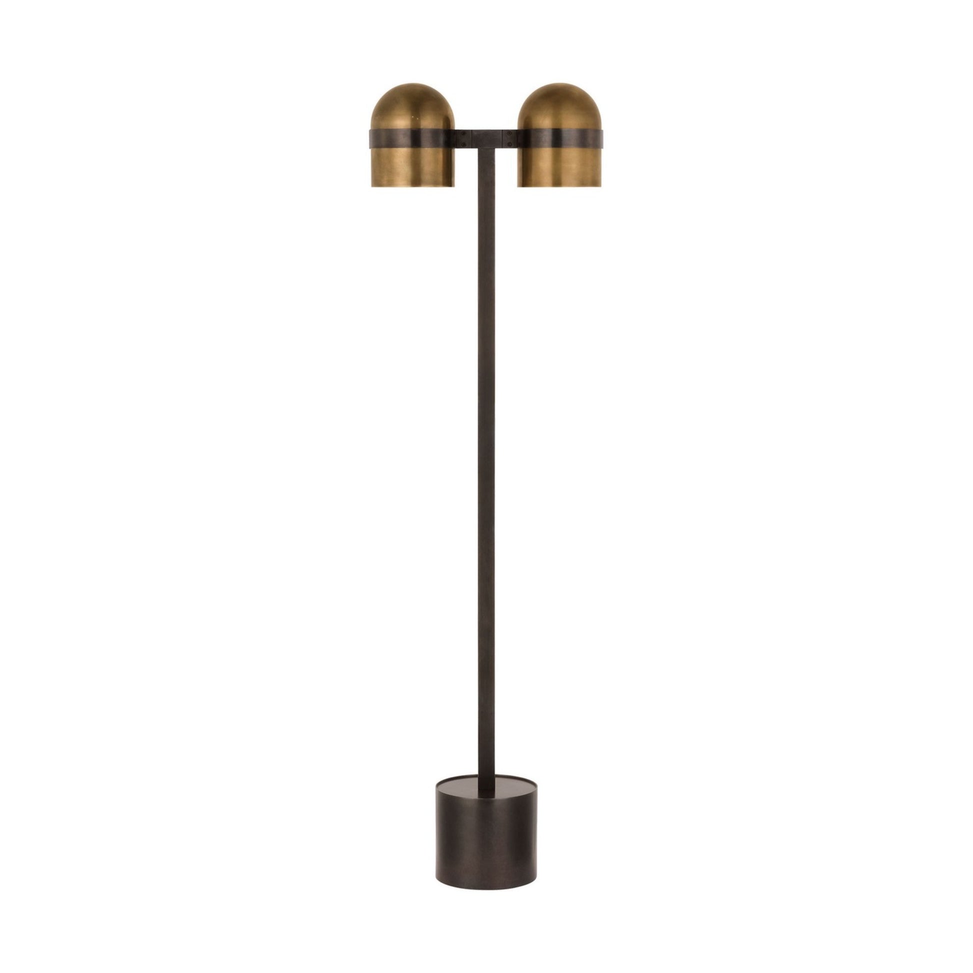 Octavia 54" 2-Light LED Medium Floor Lamp, 120-240V, Blackened Bronze & Bright Worn Brass Finish - Bees Lighting