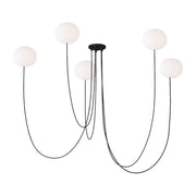 Helium 25" Small 5-Light LED Chandelier, 120-277V, Matte Black Finish - Bees Lighting