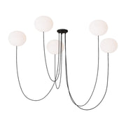 Helium 28" Medium 5-Light LED Chandelier, 120-277V, Matte Black Finish - Bees Lighting