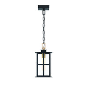Greyson 16" LED Outdoor Pendant, Black & Brass Finish - Bees Lighting