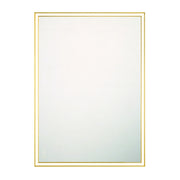 Nixon 42" Rectangular LED Mirror, Gold Finish - Bees Lighting