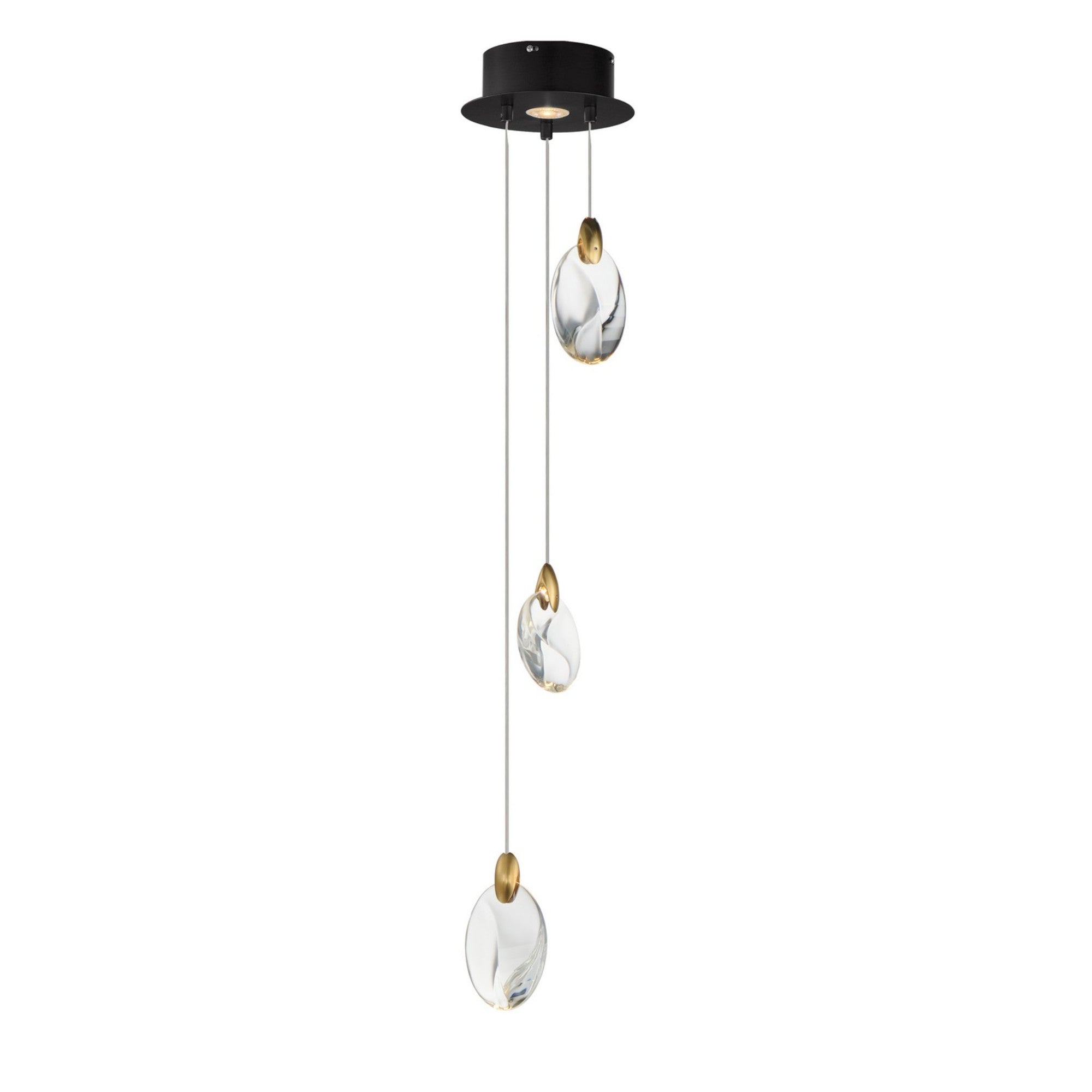 Pebble 8" LED Pendant, Black & Polished Gold Finish - Bees Lighting