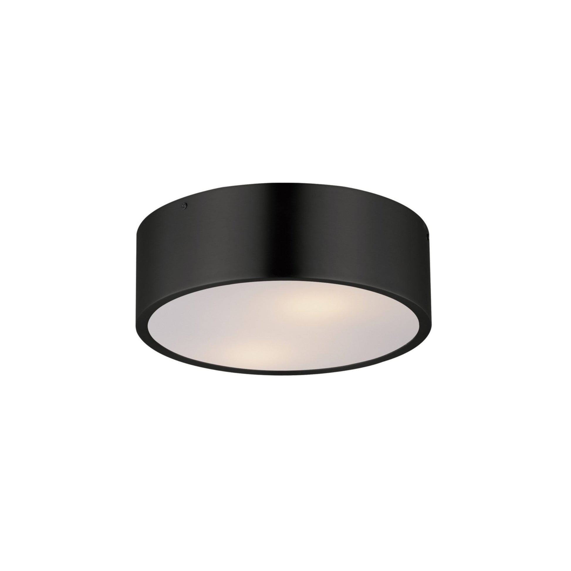 Tommy 12" 2-Light Surface Mount, Black Finish - Bees Lighting