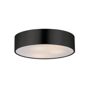 Tommy 16" 3-Light Surface Mount, Black Finish - Bees Lighting