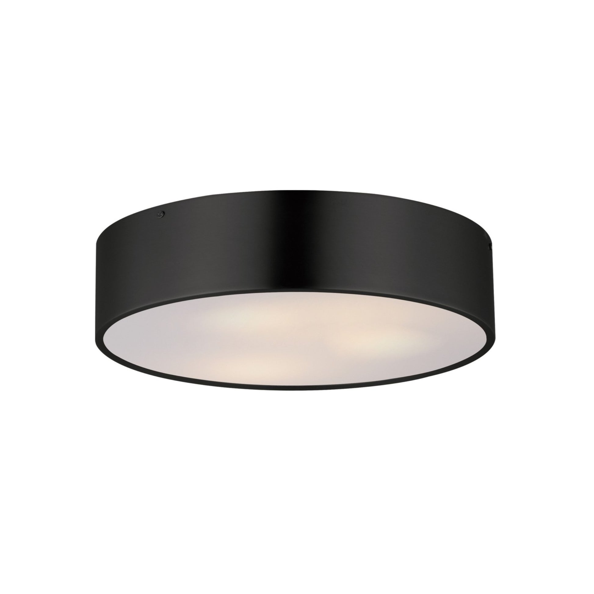 Tommy 16" 3-Light Surface Mount, Black Finish - Bees Lighting