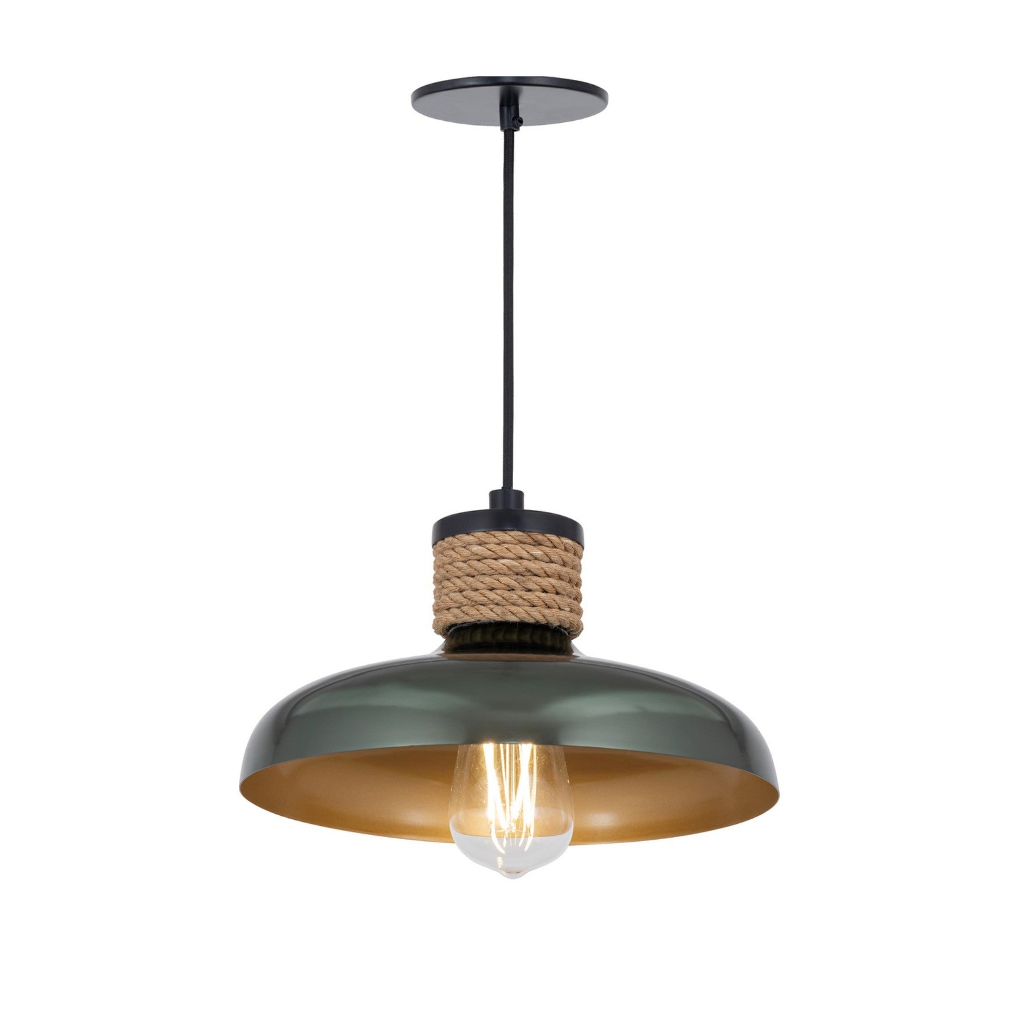 Bingham 10" Pendant, June Bug Finish