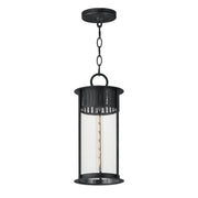 Windsor 18" Outdoor Pendant, Black Patina Finish - Bees Lighting