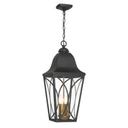 Cardigan 27" 4-Light Outdoor Hanging Lantern, Sand Coal Black & Olden Brass Finish - Bees Lighting