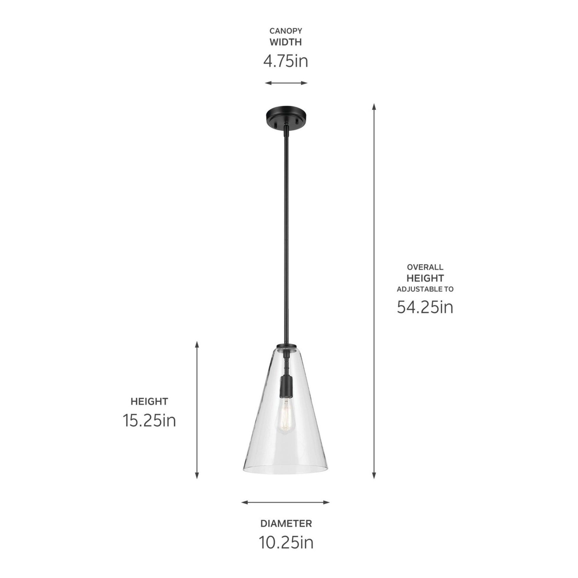 Everly 10" Cone Pendant, Black Finish, Clear Glass - Bees Lighting