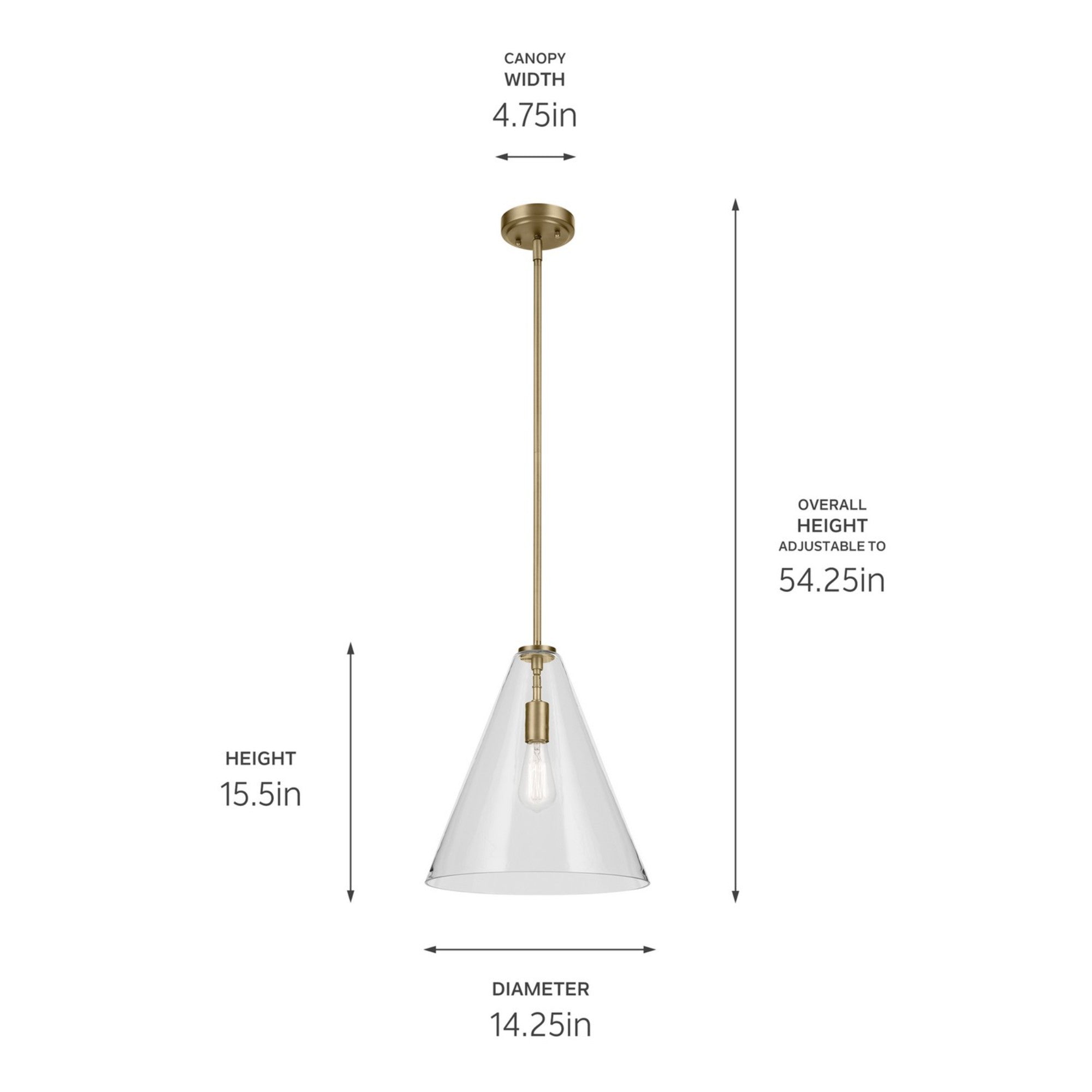 Everly 14" Cone Pendant, Natural Brass Finish, Clear Glass - Bees Lighting