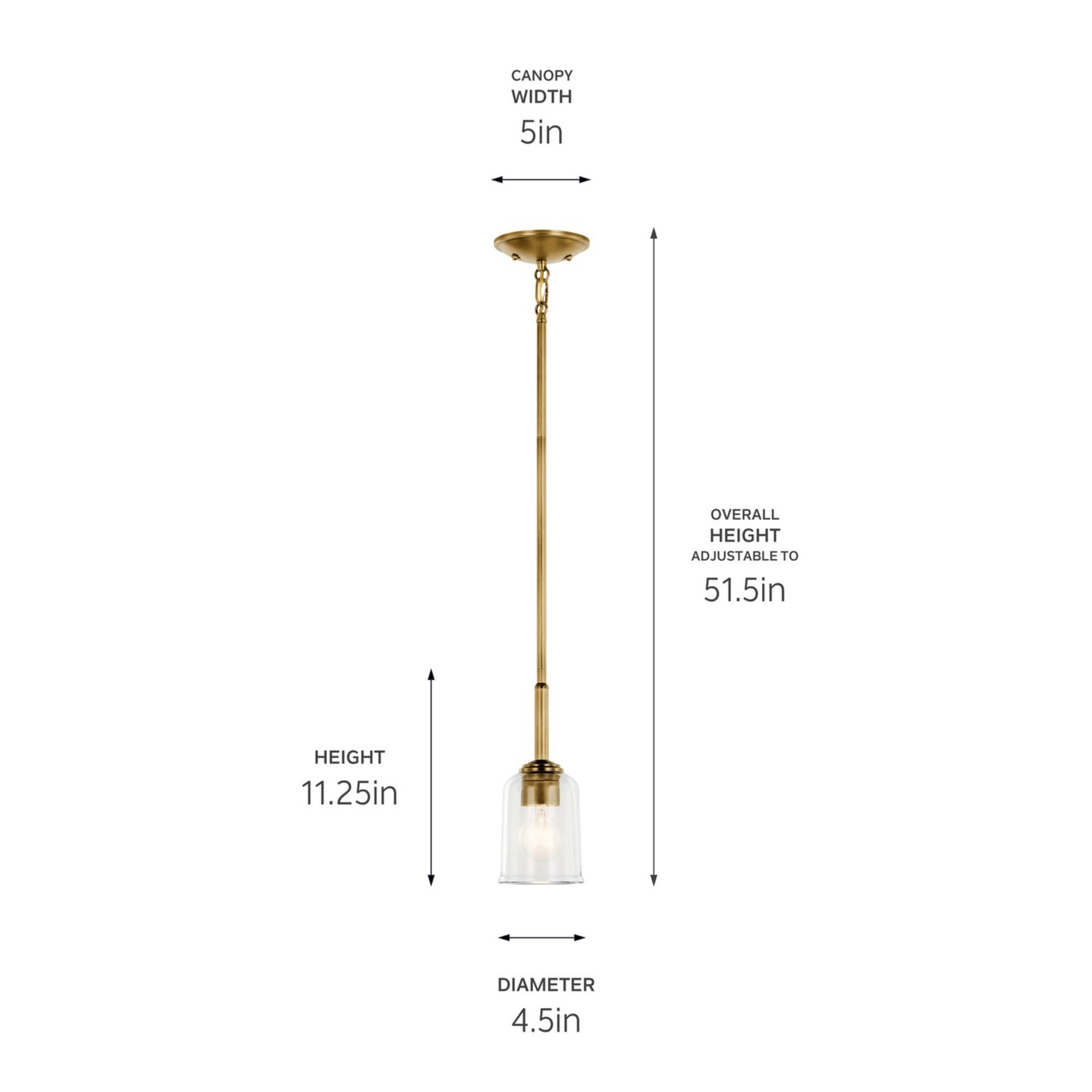 Shailene 5" Mini Pendant, Natural Brass Finish, Clear Glass - Bees Lighting