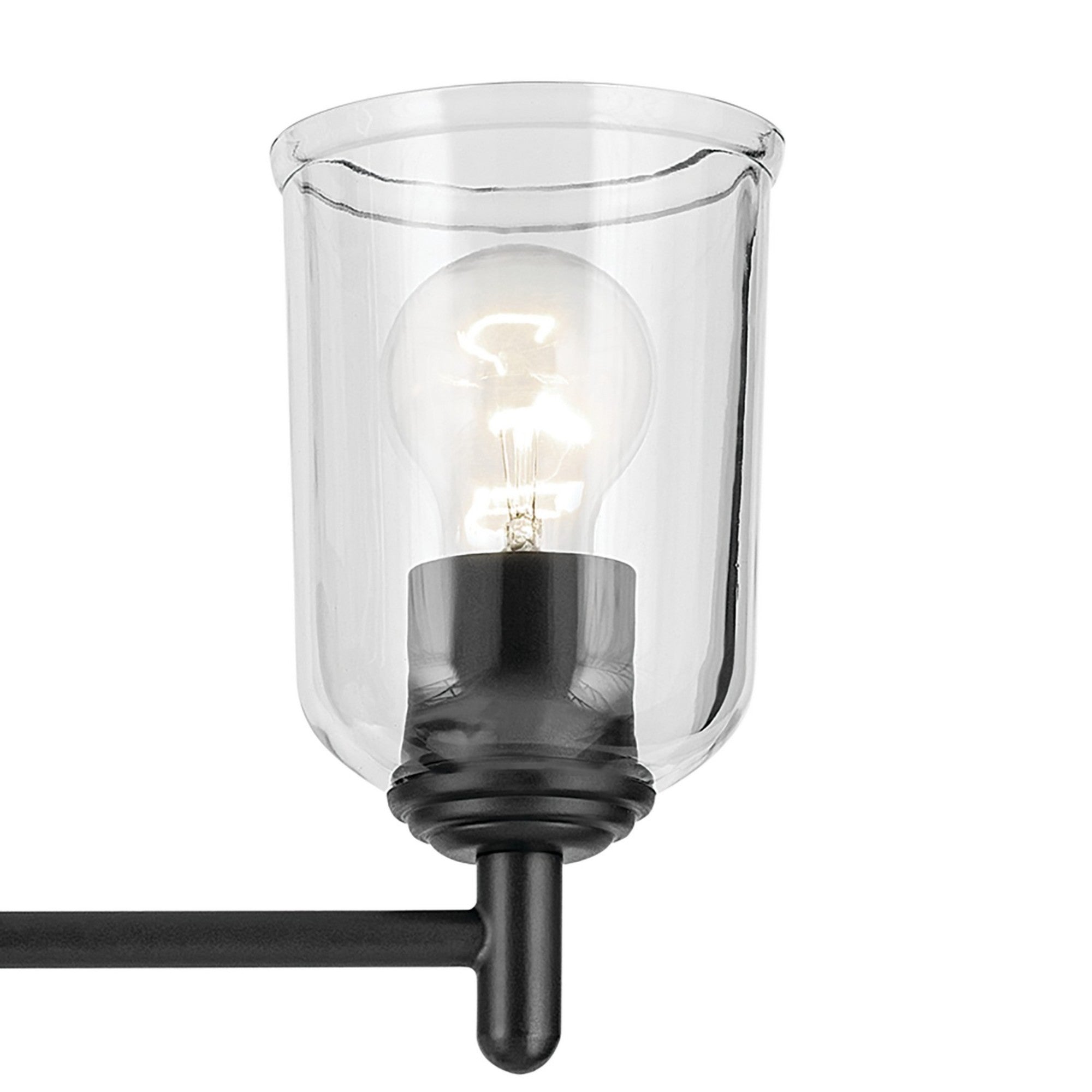 Shailene 13" 2-Light Bath Vanity Light, Black Finish, Clear Glass - Bees Lighting