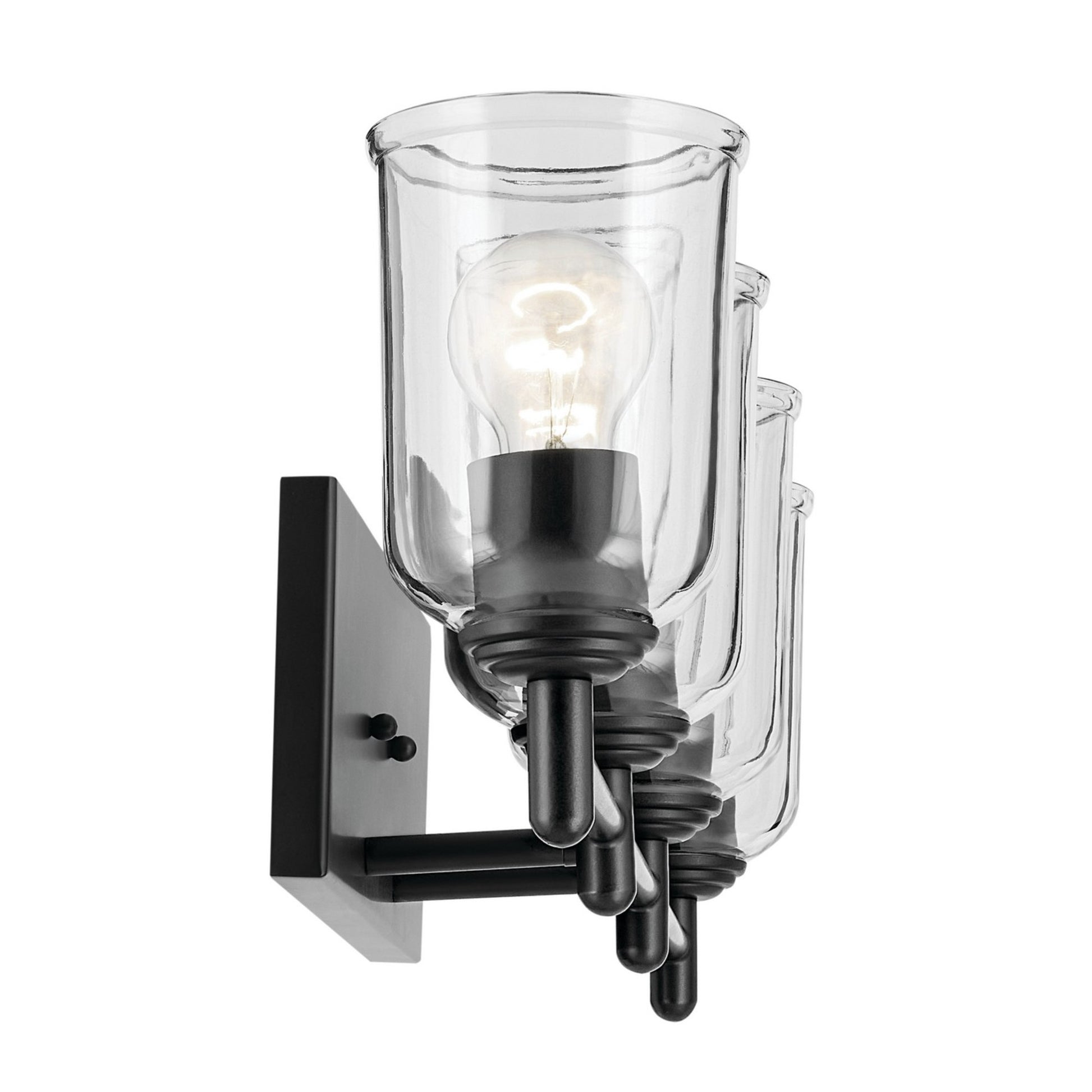 Shailene 30" 4-Light Bath Vanity Light, Black Finish, Clear Glass - Bees Lighting