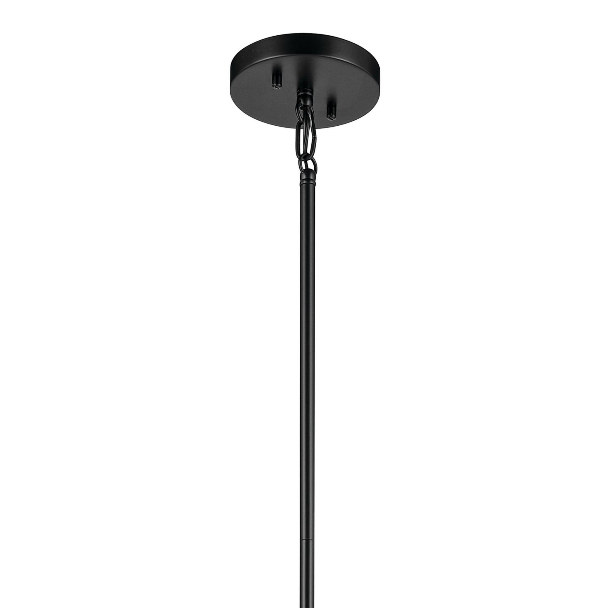 Madden 25" 4-Light Foyer Pendant, Black Finish - Bees Lighting