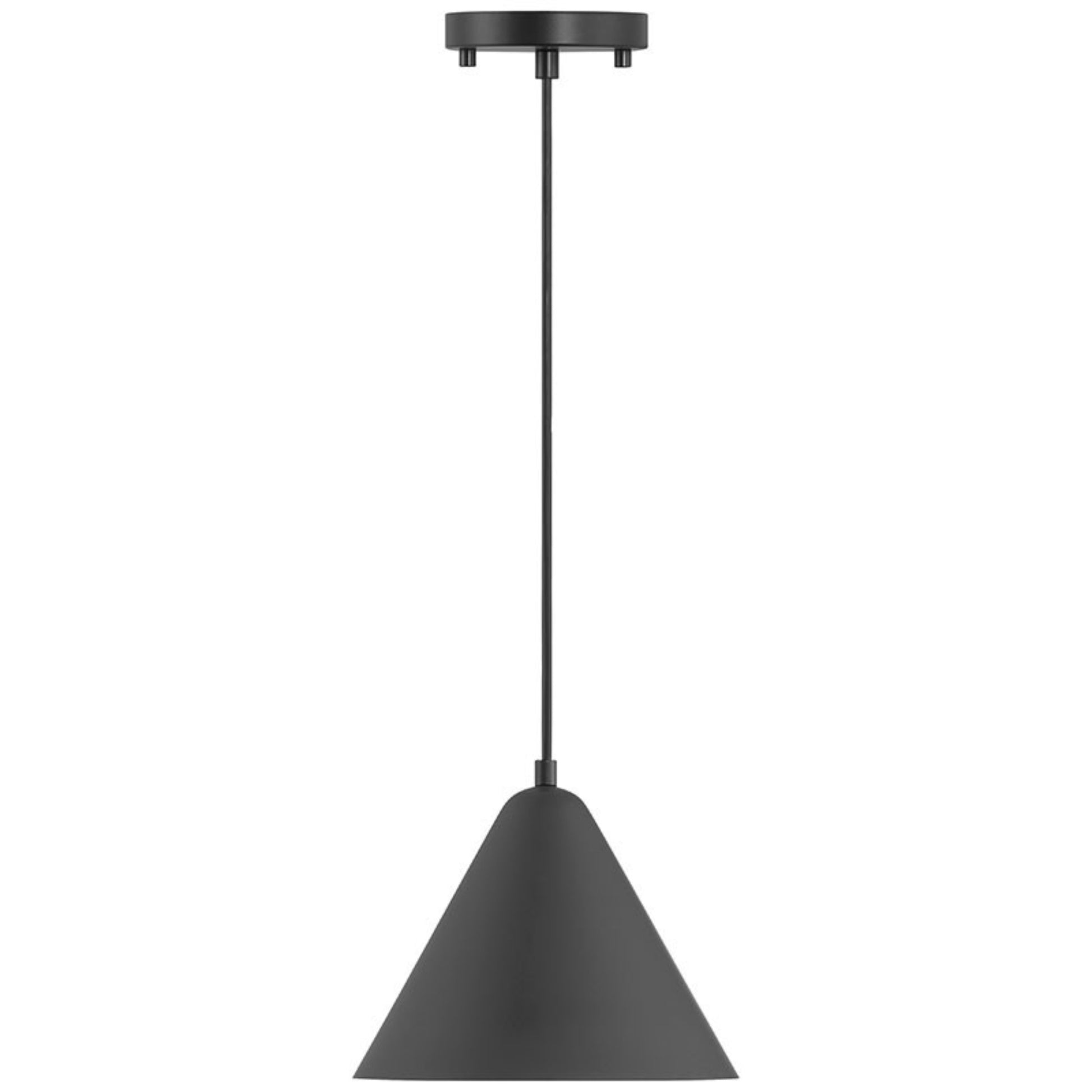 Ford 10" LED Pendant, Matte Black Finish - Bees Lighting