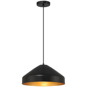 Prism 14" Pendant, Matte Black Finish - Bees Lighting