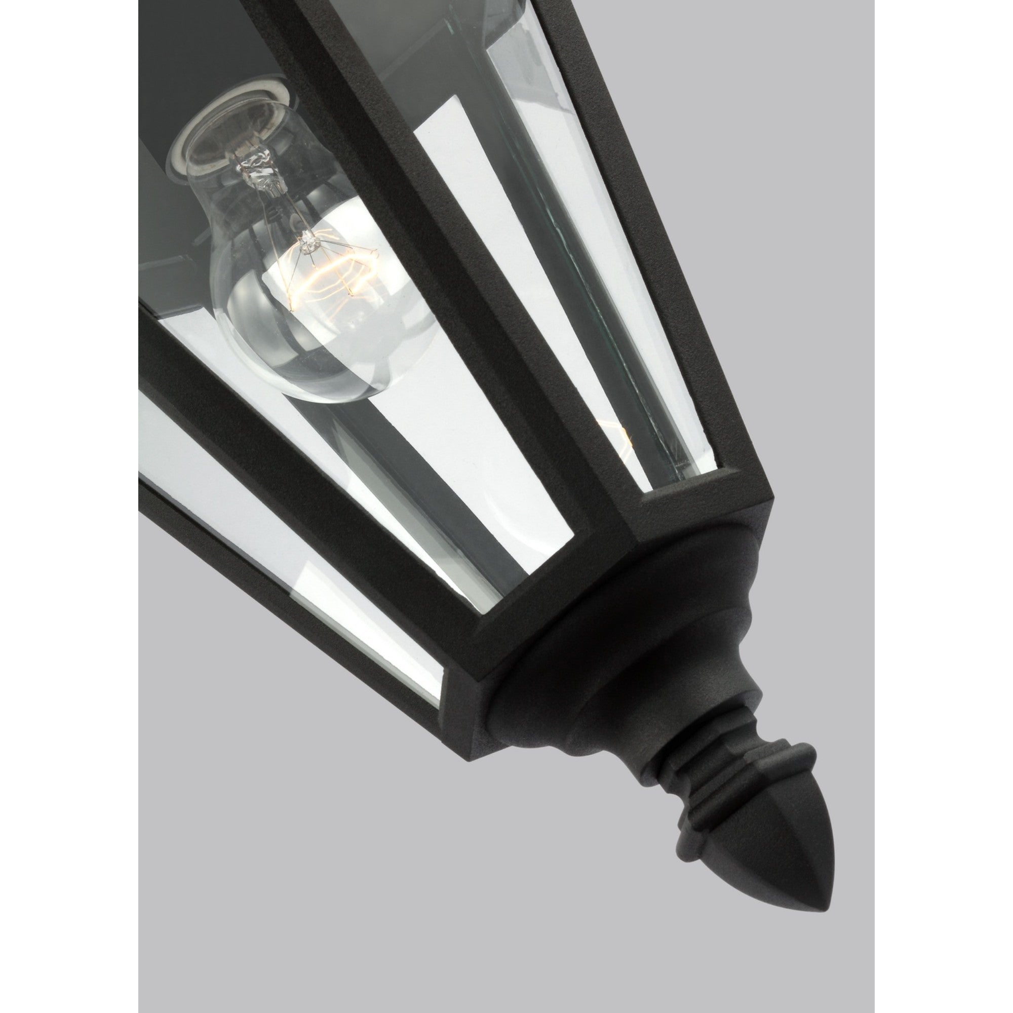 Brentwood 19" Outdoor Pendant, Black Finish with Clear Glass - Bees Lighting