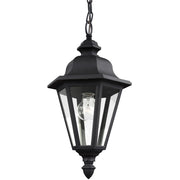 Brentwood 19" Outdoor Pendant, Black Finish with Clear Glass - Bees Lighting