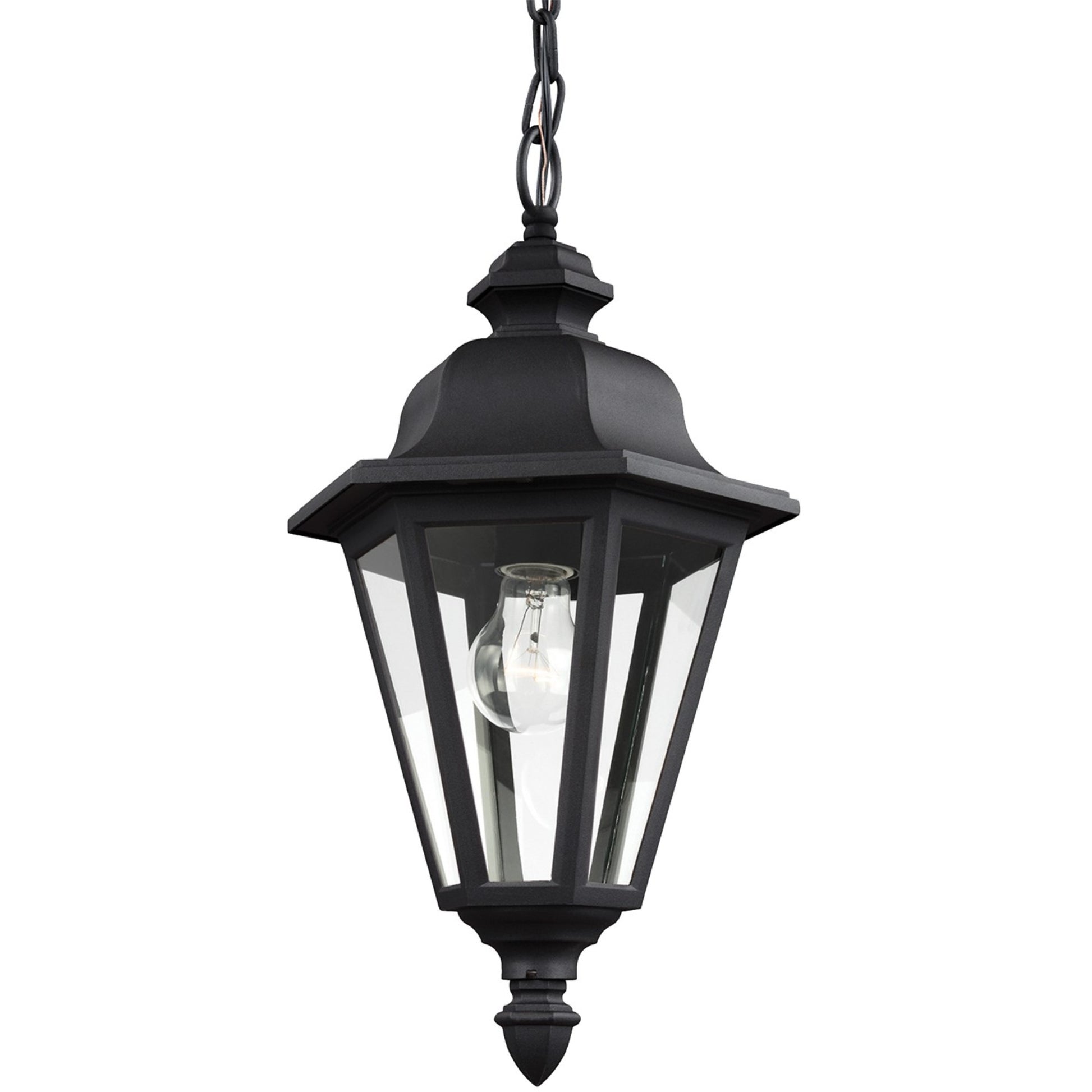 Brentwood 19" Outdoor Pendant, Black Finish with Clear Glass - Bees Lighting