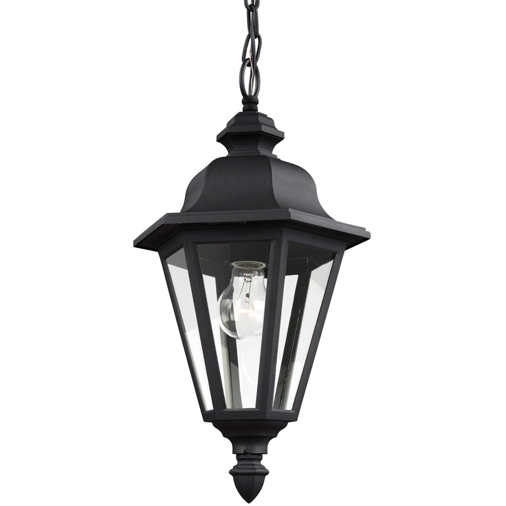 Brentwood 19" Outdoor Pendant, Black Finish with Clear Glass - Bees Lighting