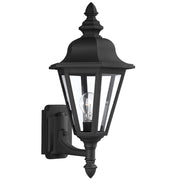 Brentwood 20" Outdoor Wall Lantern, Black Finish - Bees Lighting
