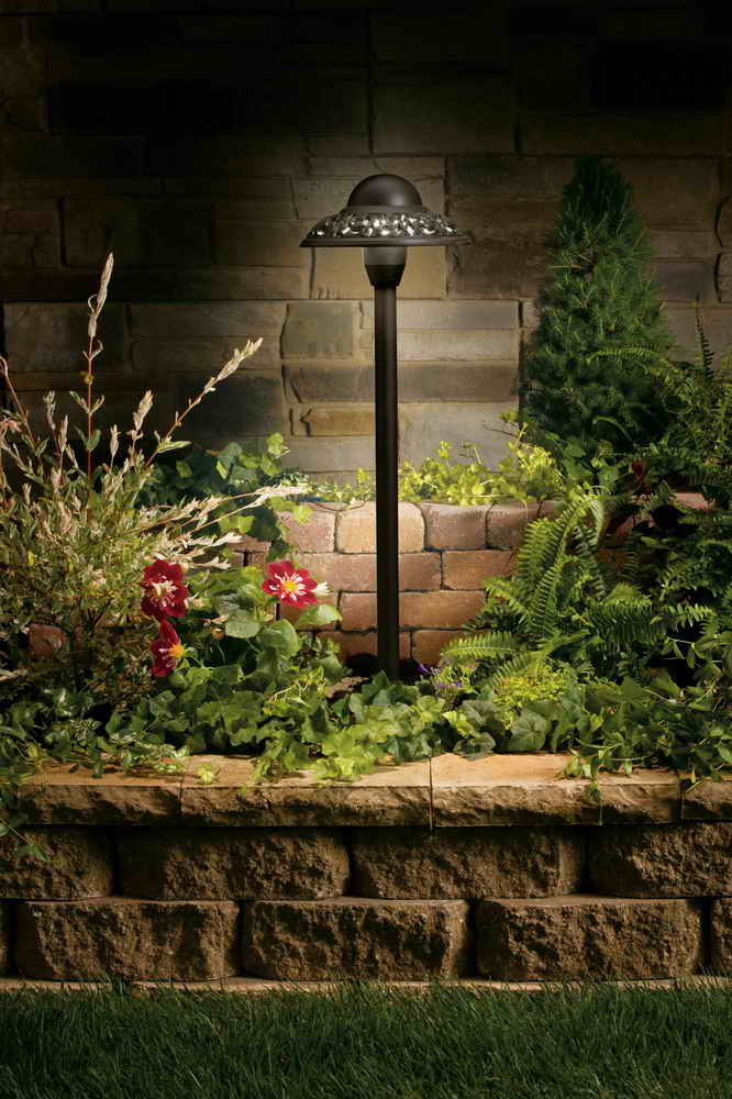 Pierced Dome Path Light, Textured Architectural Bronze - Bees Lighting