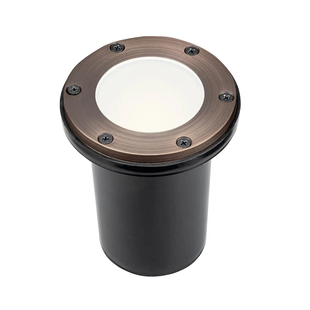 12V Landscape In-Ground Light Brass - Bees Lighting