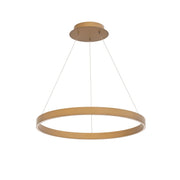 Sirius 24" LED Pendant, Aged Brass Finish - Bees Lighting