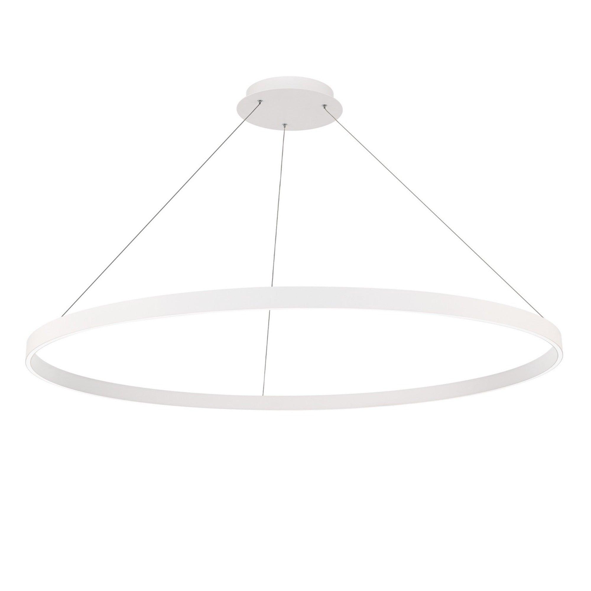Sirius 48" LED Pendant, White Finish - Bees Lighting