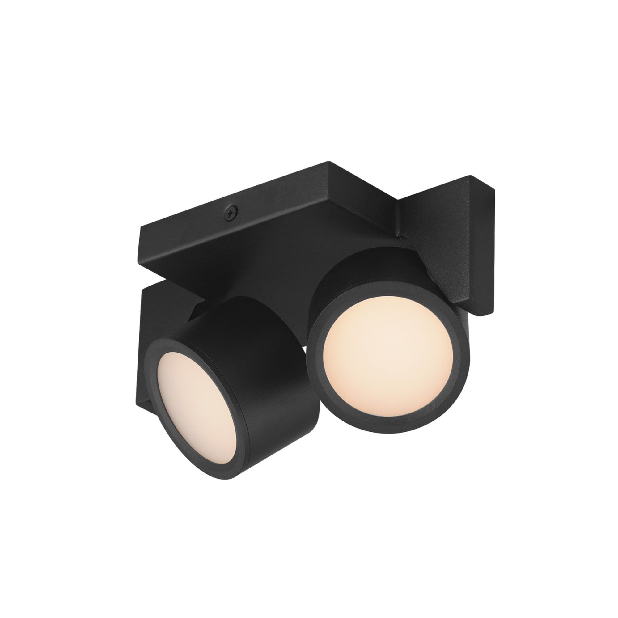 Embrace 8" 2-Light LED Flush Mount, Black Finish - Bees Lighting