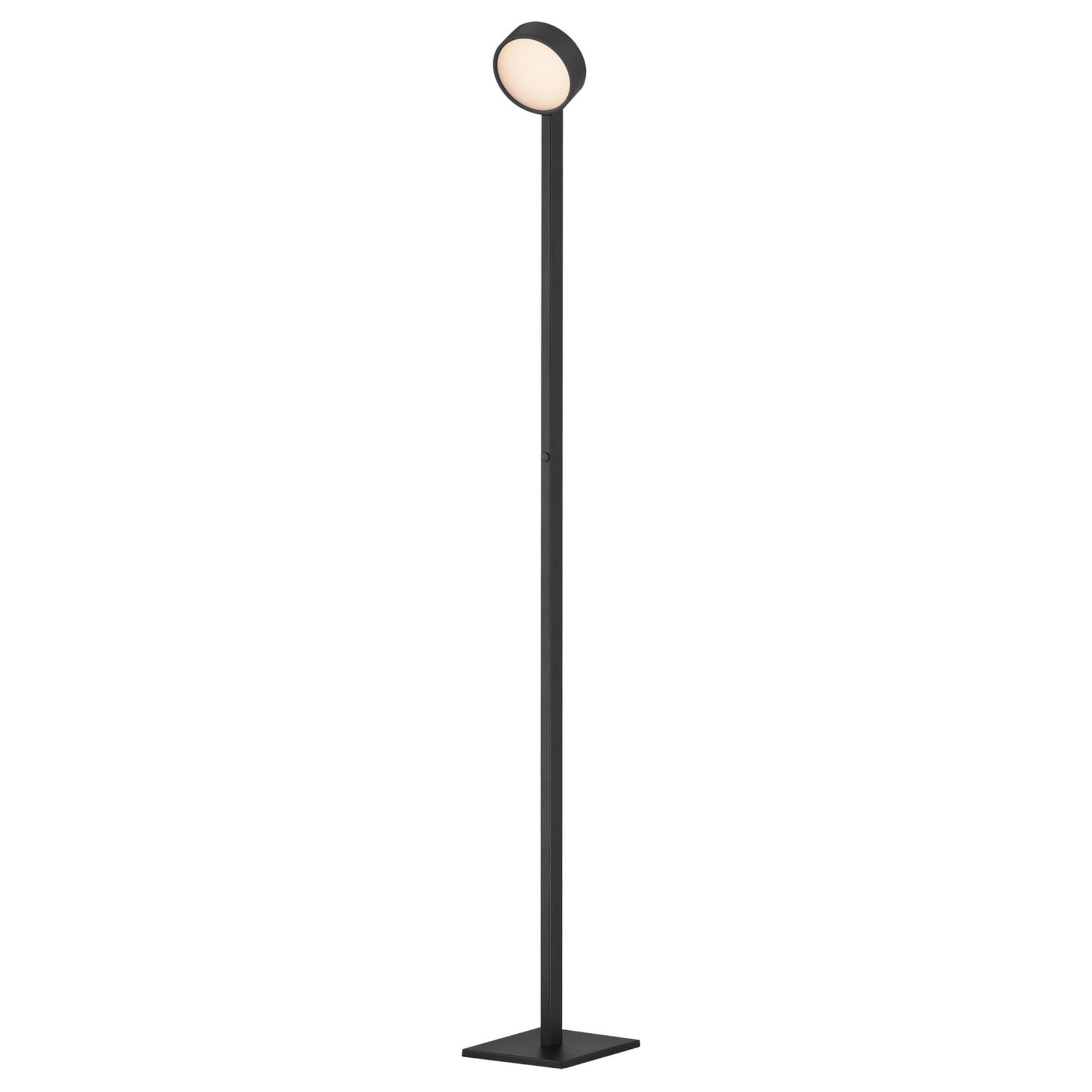 Embrace 65" LED Adjustable Floor Lamp, Black Finish - Bees Lighting