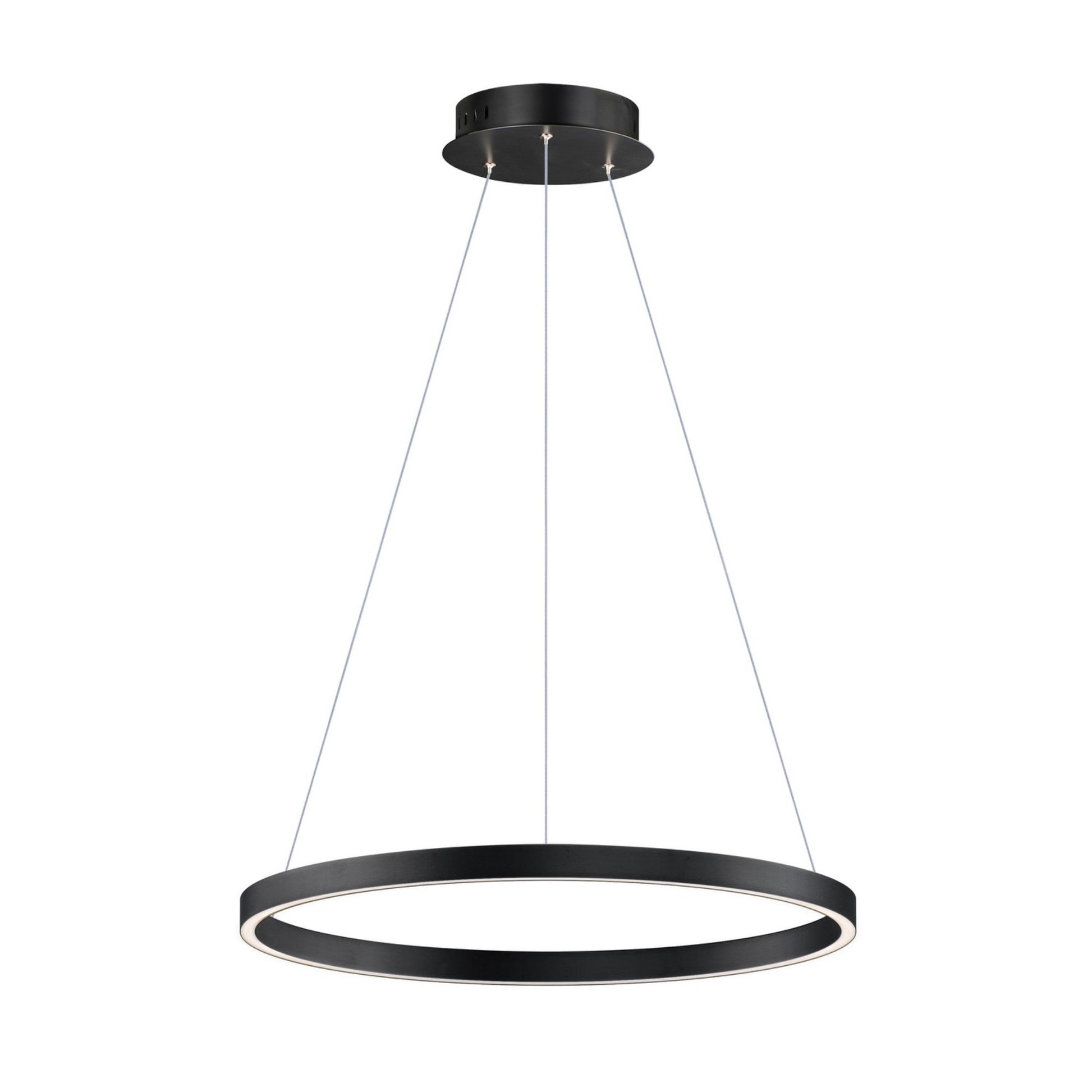 Groove 5CCT 24" LED Pendant, Black Finish - Bees Lighting