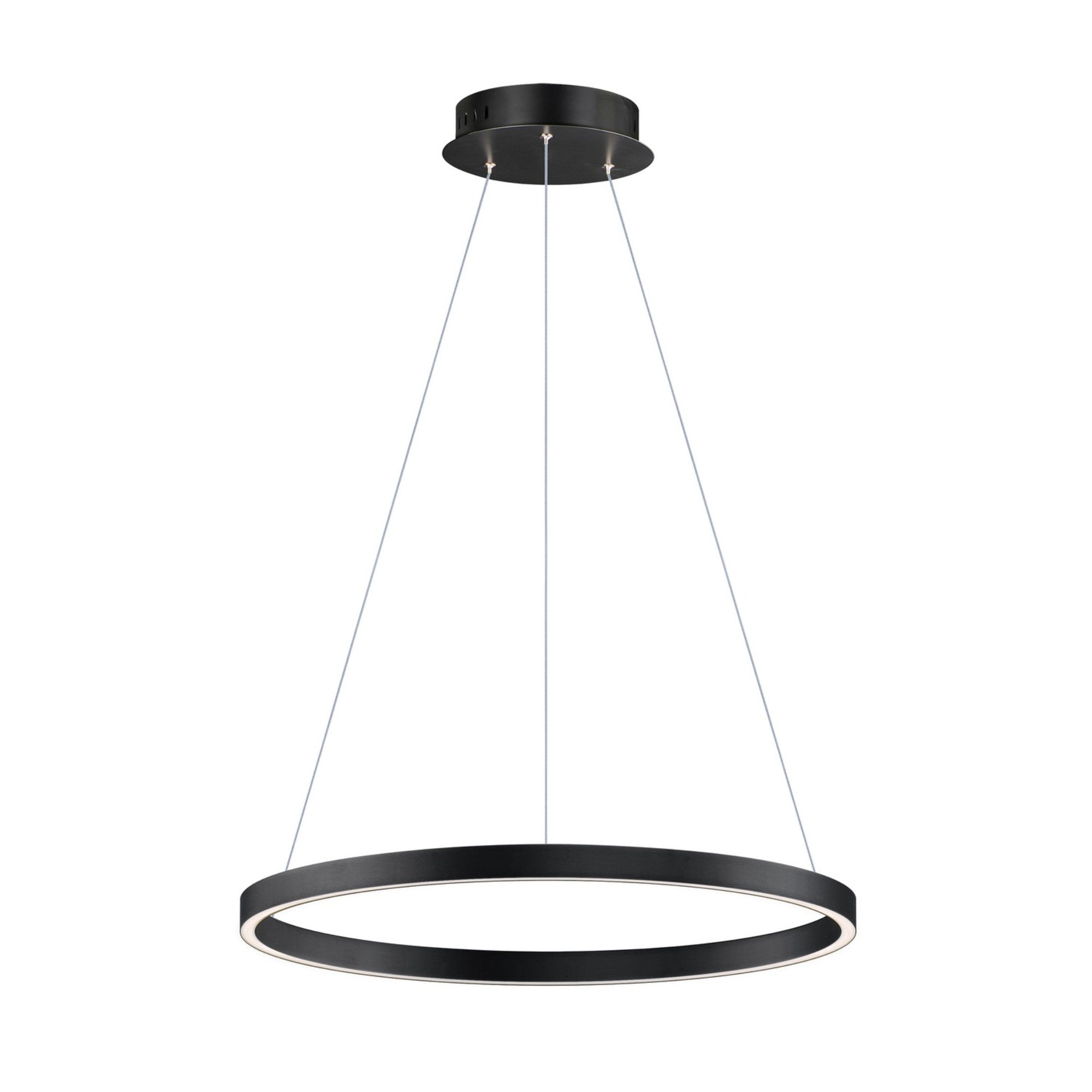Groove 5CCT 24" LED Pendant, Black Finish - Bees Lighting