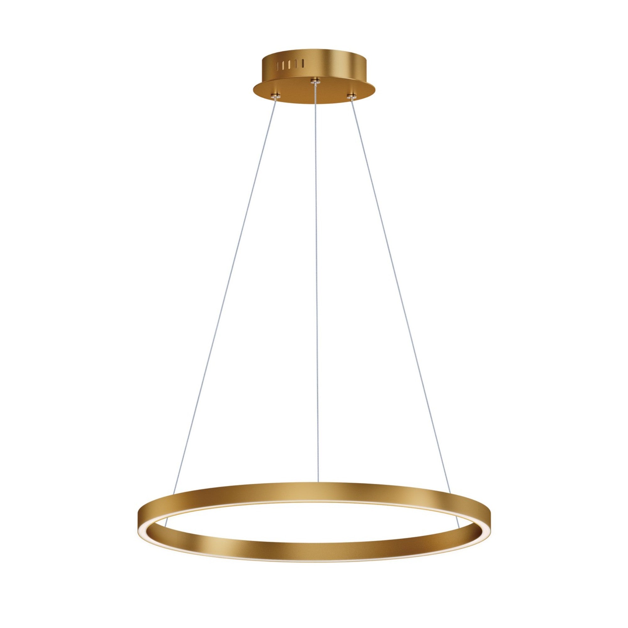 Groove 5CCT 24" LED Pendant, Gold Finish - Bees Lighting