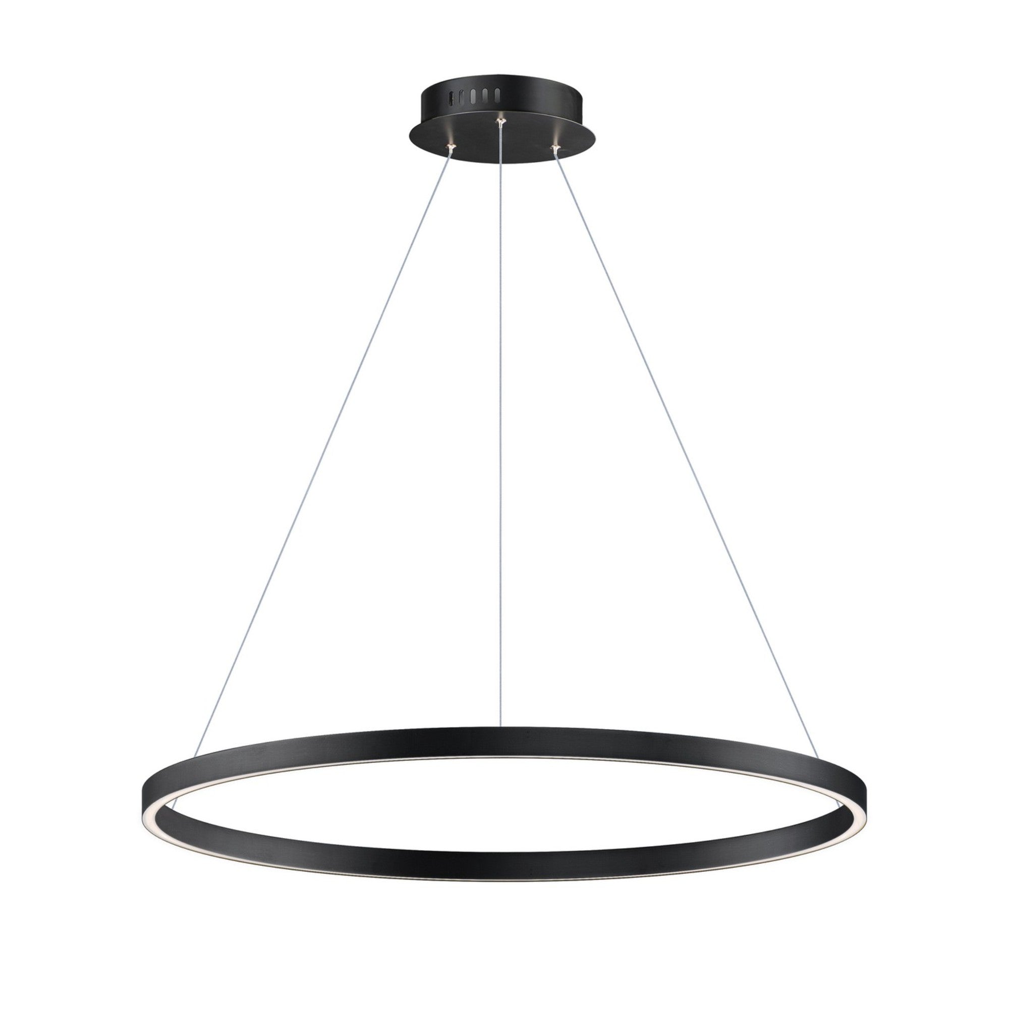 Groove 5CCT 32" LED Pendant, Black Finish - Bees Lighting