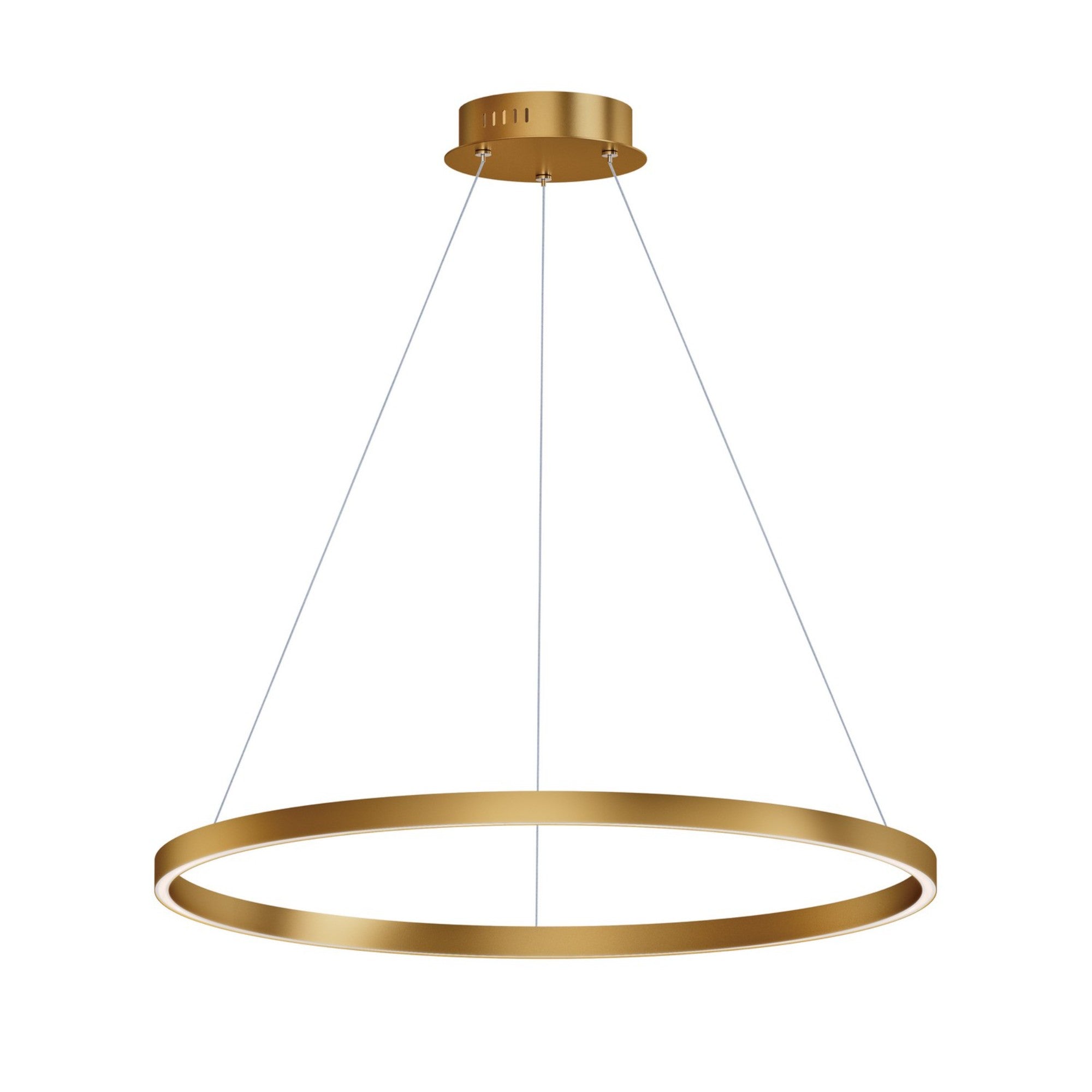 Groove 5CCT 32" LED Pendant, Gold Finish - Bees Lighting