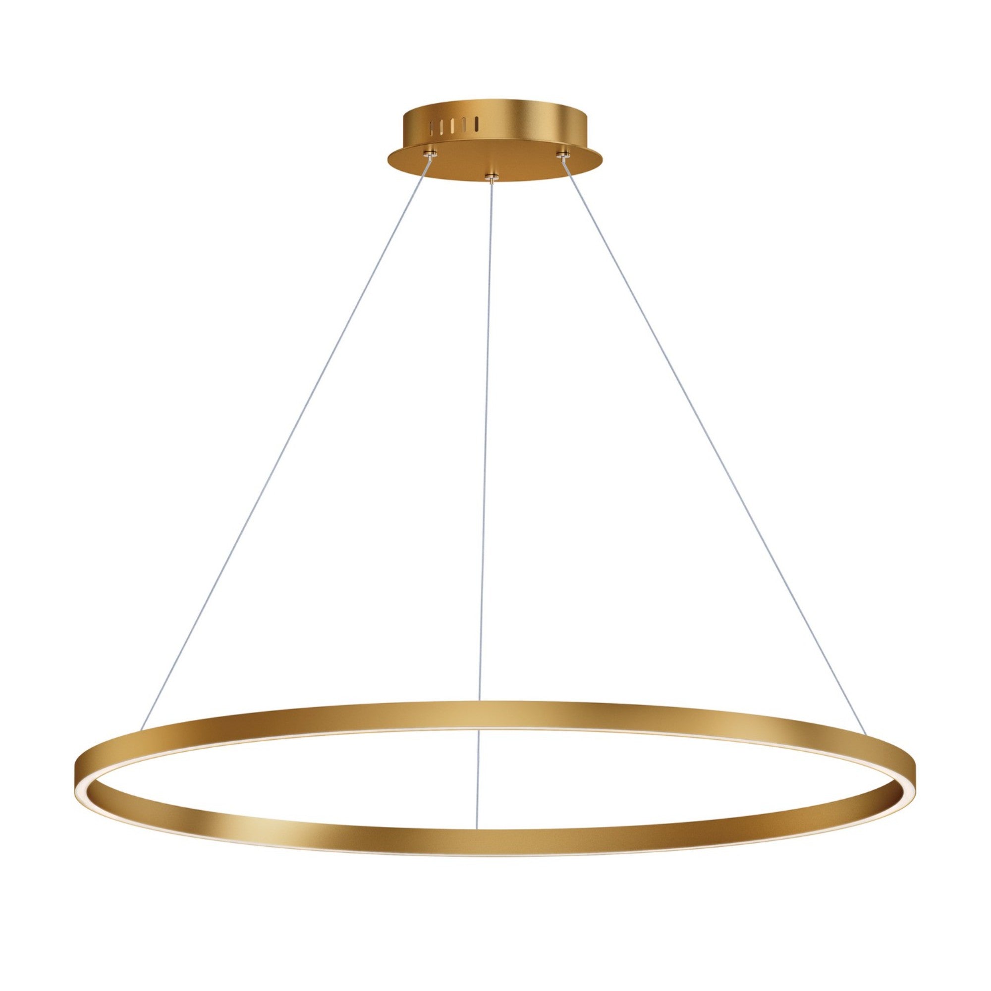 Groove 5CCT 40" LED Pendant, Gold Finish - Bees Lighting