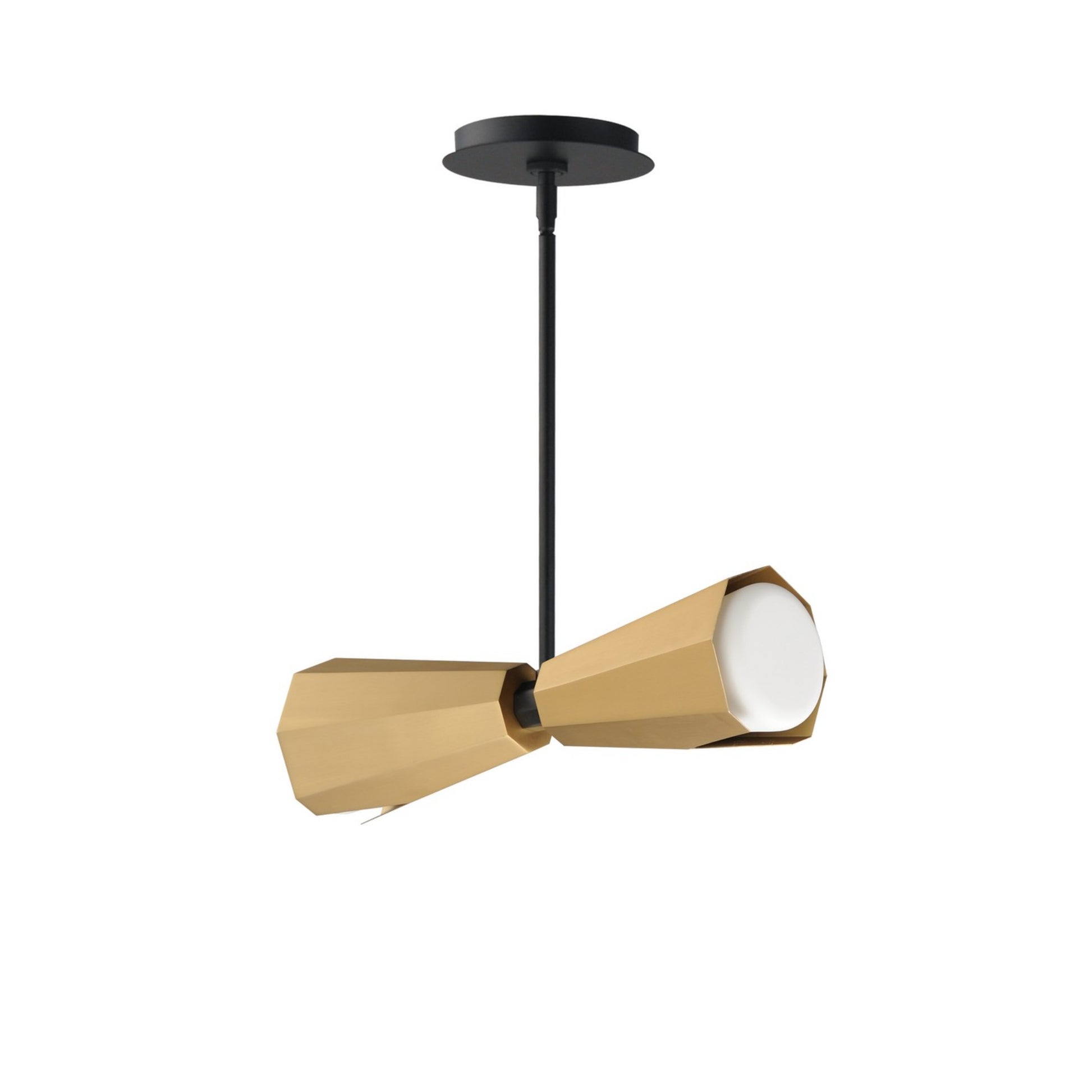 Rizzo 16" 2-Light Pendant, Black & Antique Brass Finish - Bees Lighting