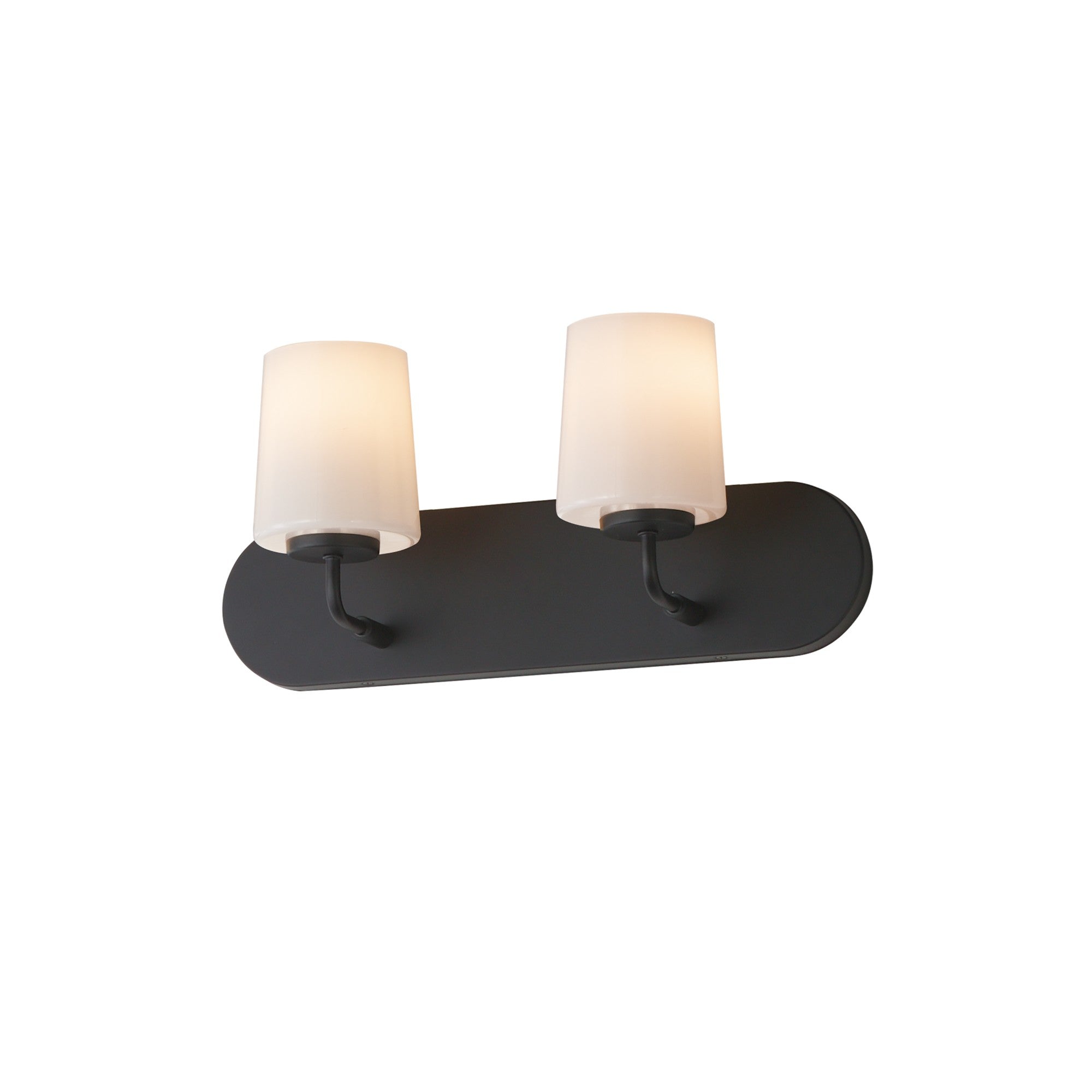 Durham 18" 2-Light Strip Bath Vanity, Black Finish - Bees Lighting