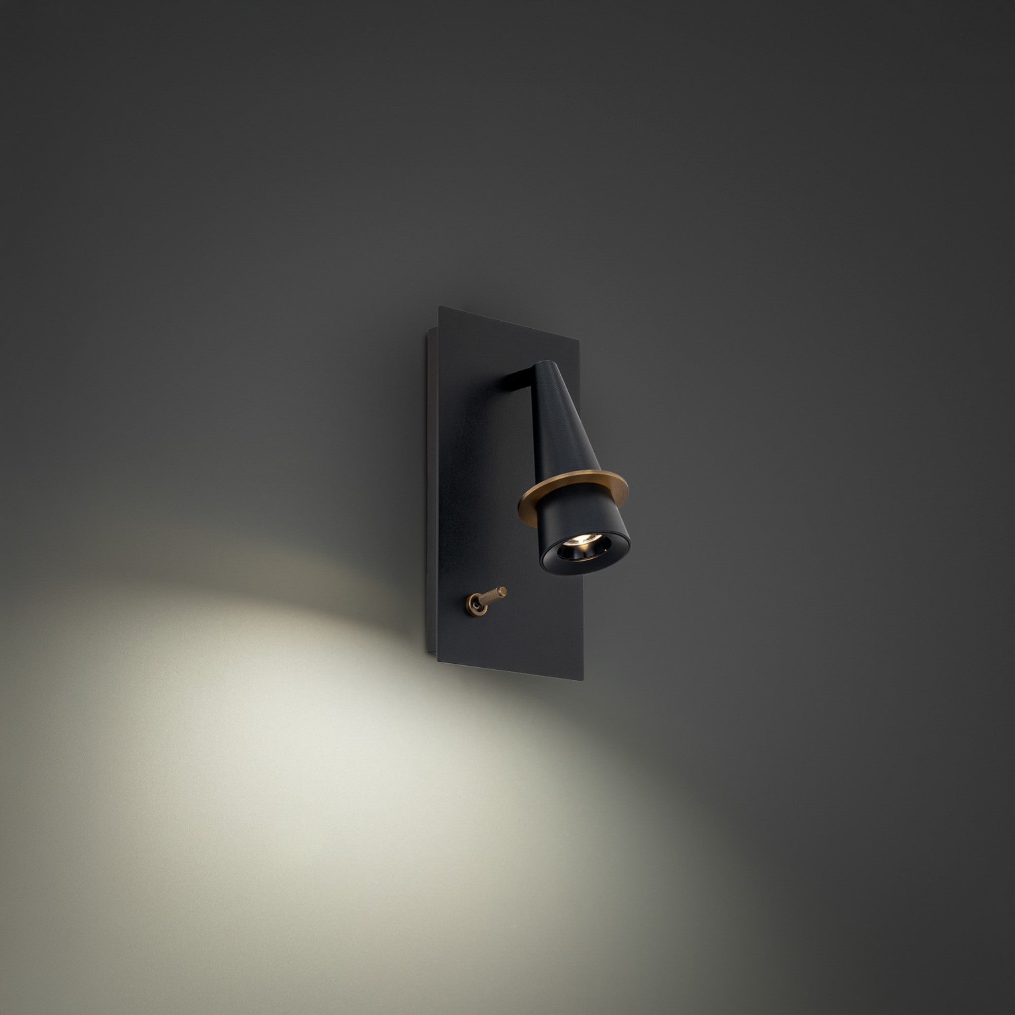 Wizard 10" LED Task Light, Black & Aged Brass Finish - Bees Lighting