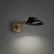 Pavilion 22" LED Task Light, Black & Aged Brass Finish - Bees Lighting