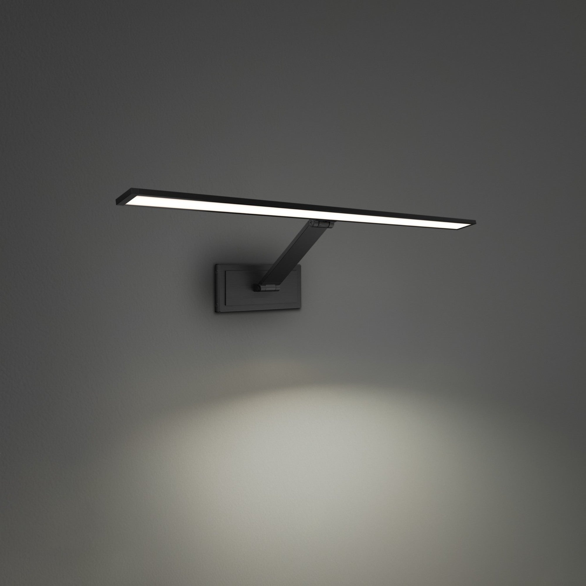 Diver 24" LED Picture Light, 3000K, Black Finish - Bees Lighting