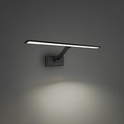 Diver 24" LED Picture Light, 3500K, Black Finish - Bees Lighting