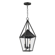 Bavaria 23" 2-Light Outdoor Pendant, Black Finish - Bees Lighting