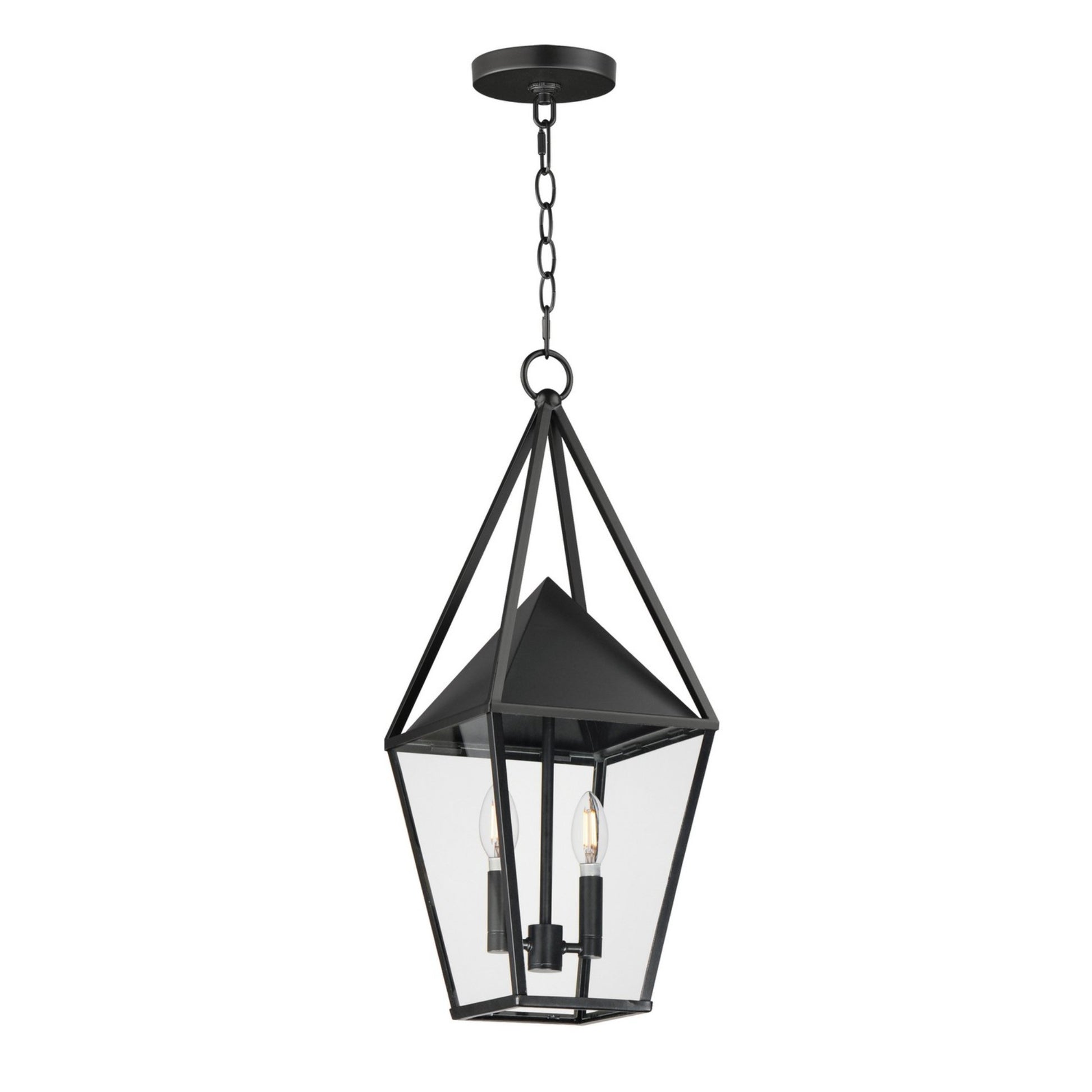 Bavaria 23" 2-Light Outdoor Pendant, Black Finish - Bees Lighting