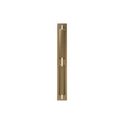 Spectacle 24" LED Wall Sconce, 4CCT, Aged Brass Finish - Bees Lighting